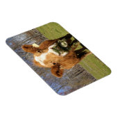 Magnet Flexible Aimant de vache (Côté Droit)