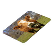 Magnet Flexible Aimant de vache (Côté Gauche)