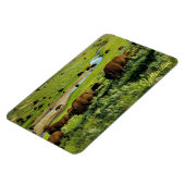 Magnet Flexible Aimant de Yellowstone (Côté Gauche)