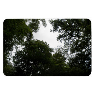 Magnet Flexible Aimant déplaisant Forest Premium