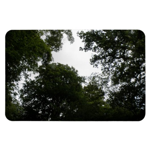 Magnet Flexible Aimant déplaisant Forest Premium (Horizontal)