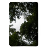 Magnet Flexible Aimant déplaisant Forest Premium (Vertical)