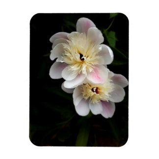 Magnet Flexible Aimant des pivoines