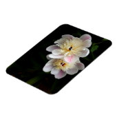 Magnet Flexible Aimant des pivoines (Côté Gauche)