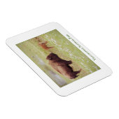 Magnet Flexible Aimant du parc national de Yellowstone avec bison  (Côté Droit)