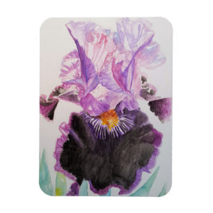 Magnet Flexible Aimant en aquarelle Fleurs d'iris violettes Art Fl