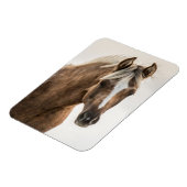 Magnet Flexible Aimant fileux de Coco Mustang (Côté Gauche)