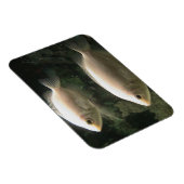 Magnet Flexible Aimant Fishies (Côté Droit)