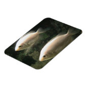 Magnet Flexible Aimant Fishies (Côté Gauche)