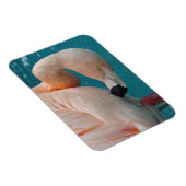 Magnet Flexible Aimant Flamant rose rose (Côté Droit)