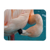 Magnet Flexible Aimant Flamant rose rose (Horizontal)