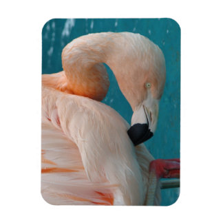 Magnet Flexible Aimant Flamant rose rose