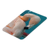 Magnet Flexible Aimant Flamant rose rose (Côté Gauche)