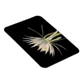 Magnet Flexible Aimant fleur de cactus (Côté Droit)