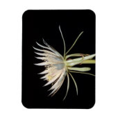 Magnet Flexible Aimant fleur de cactus (Vertical)