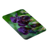 Magnet Flexible Aimant Fleurs Iris Violet (Côté Droit)