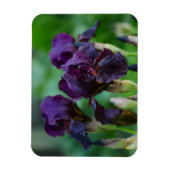 Magnet Flexible Aimant Fleurs Iris Violet (Vertical)
