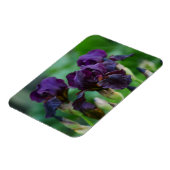Magnet Flexible Aimant Fleurs Iris Violet (Côté Gauche)