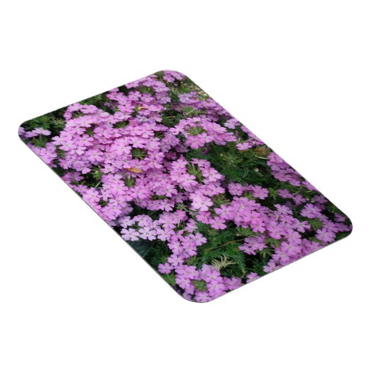 Magnet Flexible Aimant Fleurs roses (Côté Droit)