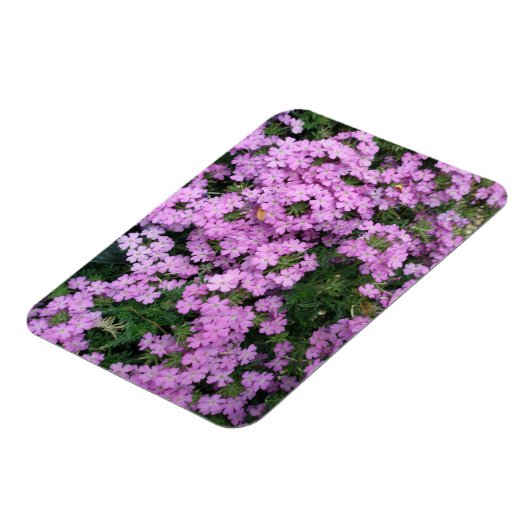 Magnet Flexible Aimant Fleurs roses (Côté Gauche)