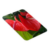 Magnet Flexible Aimant Fleurs rouges 3"x4" (Côté Droit)