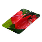 Magnet Flexible Aimant Fleurs rouges 3"x4" (Côté Gauche)