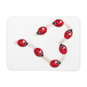 Magnet Flexible Aimant Flexi Coeur de Ladybug (Horizontal)