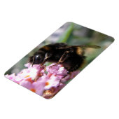 Magnet Flexible Aimant flexi de bourdon et de fleurs roses (Côté Gauche)