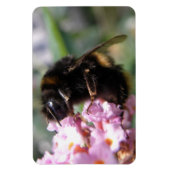 Magnet Flexible Aimant flexi de bourdon et de fleurs roses (Vertical)