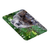 Magnet Flexible Aimant Flexi de fond 3 x 4 (Côté Droit)