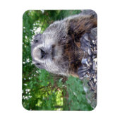 Magnet Flexible Aimant Flexi de fond 3 x 4 (Vertical)