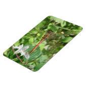 Magnet Flexible Aimant Flexi de libellule de fléchette commune (Côté Gauche)