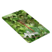 Magnet Flexible Aimant Flexi de libellule de fléchette commune (Côté Droit)
