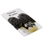 Magnet Flexible Aimant Flexi Osprey Eyes (Côté Droit)