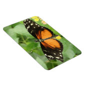 Magnet Flexible Aimant Flexi Papillon long tigre (Côté Droit)