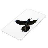 Magnet Flexible Aimant Flexi Premium Corw Raven (Côté Gauche)