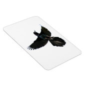 Magnet Flexible Aimant Flexi Premium Corw Raven (Côté Droit)
