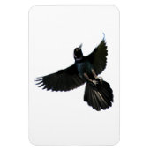 Magnet Flexible Aimant Flexi Premium Corw Raven (Vertical)