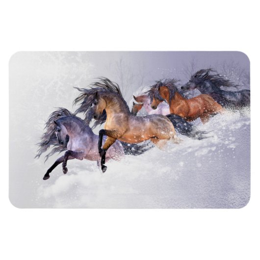 Magnet Flexible Aimant Flexi Premium de vol d'hiver (Horizontal)