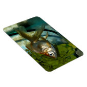 Magnet Flexible Aimant Flexi Premium Ryukin (Côté Droit)