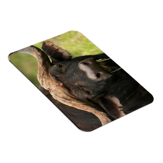 Magnet Flexible Aimant flexible à bison d'eau (Côté Droit)