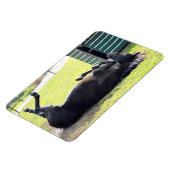 Magnet Flexible Aimant flexible à cheval (Côté Gauche)