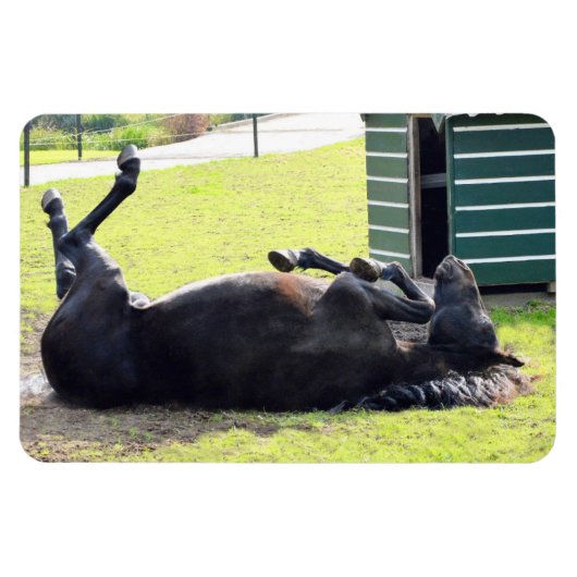 Magnet Flexible Aimant flexible à cheval (Horizontal)