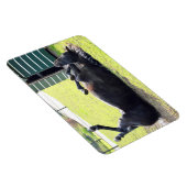Magnet Flexible Aimant flexible à cheval (Côté Droit)