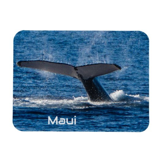 Magnet Flexible Aimant flexible à queue de baleine à bosse (Horizontal)