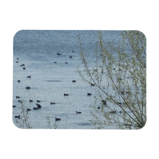 Magnet Flexible Aimant flexible aux oiseaux du lac (Horizontal)