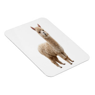 Magnet Flexible Aimant flexible avec photo réaliste d'alpaca duvet