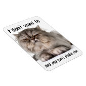 Magnet Flexible Aimant flexible Cranky Kitty, "Je ne veux pas..." (Côté Droit)