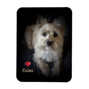 Magnet Flexible Aimant flexible de "amoureux des chiens" de
