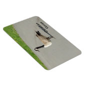 Magnet Flexible Aimant flexible de l'oie canadienne (Côté Droit)